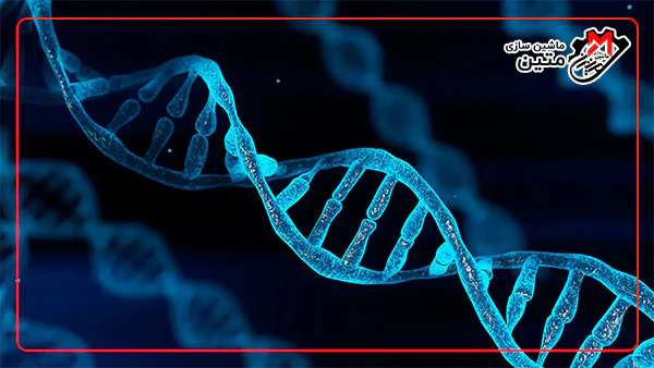 DNA، نوعی پلیمر طبیعی